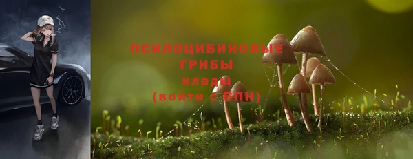 кокаин Алексин