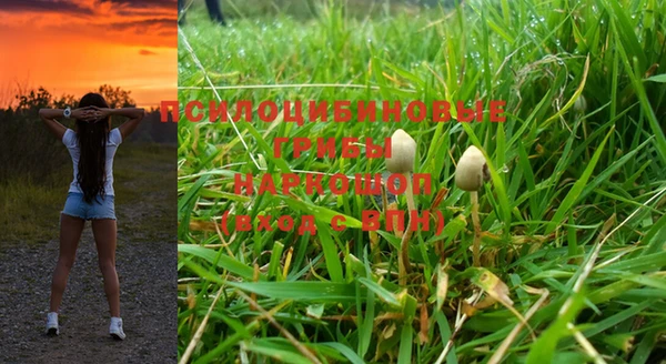 эйфоретик Алзамай